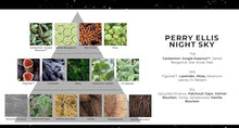 Load image into Gallery viewer, Perry Ellis Night Sky - Men's Cologne - 3.4 fl oz Eau de Toilette - bergamot, anise, pear, fig, geranium, lavender, fir balsam, vanilla, vetiver, sandalwood