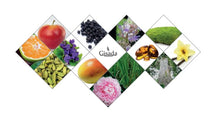Load image into Gallery viewer, Gisada Switzerland - Ambassador Men - Luxurious Cologne for Men with Spicy, Vibrant, Floral Notes - Daily Wear Mens Cologne with Fresh Citrus & Warm Wood Aroma - Made in Switzerland - 1.7 fl.oz.