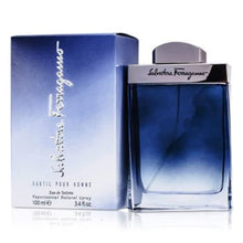 Load image into Gallery viewer, Salvatore Ferragamo Subtil Eau De Toilette Spray 100ml/3.3oz