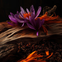 Load image into Gallery viewer, House of Sillage Dignified Men's Fragrance