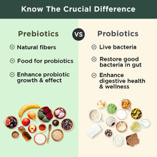 Load image into Gallery viewer, BB Company Previtalize | Prebiotics for Women, Prebiotic Fiber for Gut Health, Digestive Health | Food for Good Probiotics | Complement to Probiotics & Provitalize | Packaging Vary | 60 Ct