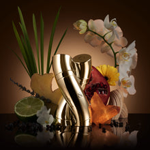 Load image into Gallery viewer, R&C Fragrance Harmony by R&C Fragrance-The Fragrance Duo-Matching Fragrances for Him and Her-Beautifully Entwined,Magnetic Bottles Symbolize Unity-Subtle and Contemporary Scent-2 pc EDP Spray
