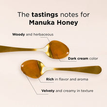 Load image into Gallery viewer, MANUKA DOCTOR - MGO 525+ Manuka Honey Monofloral (1.1 lbs) 100% Pure New Zealand Honey. Certified. Guaranteed. RAW. Non-GMO