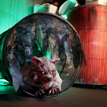 Load image into Gallery viewer, Haunted Hill Farm 2-Ft. Zombie Raccoon Halloween Animatronic