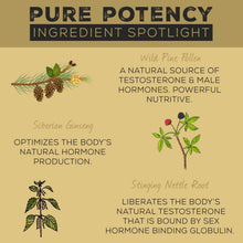 Load image into Gallery viewer, Surthrival: Pine Pollen Pure Potency Extract (1.69 fl oz), Increased Stamina, Hormone Balance, Energy & Endurance Restoration