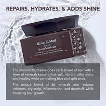 Load image into Gallery viewer, Saphira Mineral Mud Hair Mask, Deep Healing Hair Treatment for Dry, Damaged, Bleached, Color-Treated Hair and Scalp, Sulfate-Free, Paraben-Free, Repairs, Hydrates and Adds Shine, 3 Ounce