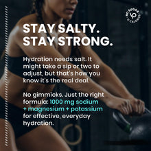 Load image into Gallery viewer, Venture Pal High Sodium Sugar-Free Electrolyte Powder Packets - Hydration Packets with Sodium, Potassium & Magnesium | Zero Calories | Keto, Vegan, and Paleo Friendly | 16 Sticks