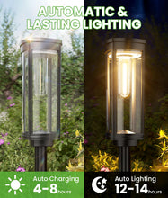 Load image into Gallery viewer, BITPOTT Bright Solar Pathway Lights Outdoor, 8 Pack Solar Powered Garden Lights Waterproof IP65, Auto On/Off Outdoor Light for Lawn Patio Walkway Driveway Decor Landscape Lighting
