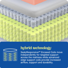 Load image into Gallery viewer, Sealy Dreamlife 14” Hybrid Mattress-in-a-Box, Queen, SealyComfort Gel Memory Foam, SealyResponsive Encased Coils, Machine Washable Cover
