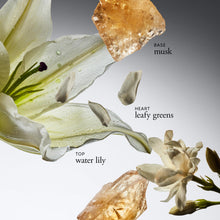 Load image into Gallery viewer, philosophy pure grace eau de parfum - crisp & clean women's perfume - with notes of water lily, leafy greens & musk - long lasting fragrance - 2 fl oz