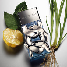 Load image into Gallery viewer, Michael Kors Pour Homme Eau de Parfum Spray, for Men