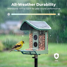 Load image into Gallery viewer, Kiwibit Solar Smart Bird Feeder with Camera, AI Bird Species Identification, 8MP Photos, 4K UHD Video Live Stream Wild Bird House Feeders for Outdoors, Bird Watching Gifts for Bird Lovers, Green