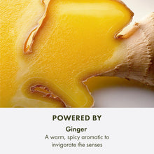 Load image into Gallery viewer, Origins Ginger Essence Perfume | With Notes of Bergamot, Lemon & Lime, 3.4 Fl Oz