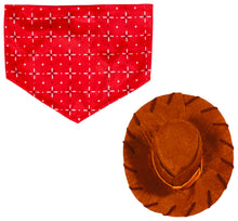 Load image into Gallery viewer, Rubies at Party City Toy Story: Woody Pet Costume for for Dogs or Cats, Medium