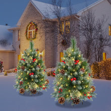 Load image into Gallery viewer, OasisCraft 33 Inch Outdoor Christmas Tree Frosted Urn Filler 2 Set, Pre-lit Artificial Xmas Tree with 50 LED Lights, Realistic Carolina Pine and Berries for Pathway, Porch, Driveway, Yard