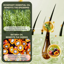 Load image into Gallery viewer, Batana Oil Shampoo and Conditioner Set, Batana Oil Shampoo for Hair Loss, Restores Hair Vitality and Rejuvenates, Stimulates Hair Growth, Repairs Damage for Men & Women 300ml+300ml 10.58fl.oz