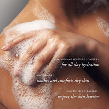 Load image into Gallery viewer, philosophy hydrating shower gel amazing grace