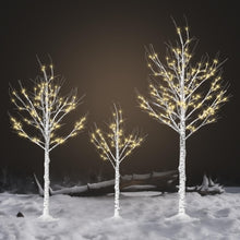 Load image into Gallery viewer, Cofiyard Outdoor Christmas Decorations Lighted Birch Tree Set of 3, LED Warm White 4, 6 and 8 Feet, for Indoor Christmas Decor, Party, Garden, Yard, Wedding, Holiday