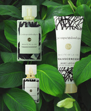 Load image into Gallery viewer, Transcendent by Catherine Malandrino Eau de Parfum 3 Piece Gift Set for Women