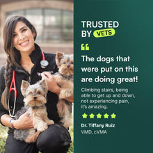 Load image into Gallery viewer, Wuffes Advanced Dog Hip and Joint Supplement with Glucosamine, Chondroitin, Omega 3, MSM, and Green Lipped Mussel, 30 Pork Flavored Chews for Large Dog Breeds