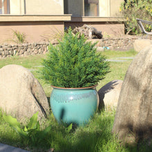 Load image into Gallery viewer, Artificial Topiary Ball Tree 19''T Faux Little Bush Ball Tree UV Resistant Shrub Potted Artificial Plant for Outdoor Indoor Front Porch Garden