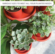 Load image into Gallery viewer, LOOPSEED Plant Saucer 6 Pack Drip Trays Planter Pot Base Heavy Duty Plastic Drainage Tray for Indoor Houseplants Outdoor Garden 5 inch 8 inch 11 inch 3 Sizes 2 Each Round (Terracotta)