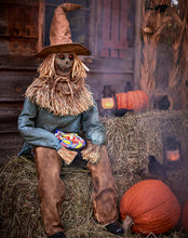 Load image into Gallery viewer, Spirit Halloween 4 Ft 6 In Scary Sitting Scarecrow Animatronic, Multicolor