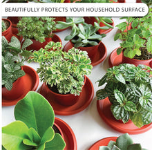Load image into Gallery viewer, LOOPSEED Plant Saucer 6 Pack Drip Trays Planter Pot Base Heavy Duty Plastic Drainage Tray for Indoor Houseplants Outdoor Garden 5 inch 8 inch 11 inch 3 Sizes 2 Each Round (Terracotta)