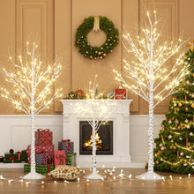 Load image into Gallery viewer, Cofiyard Outdoor Christmas Decorations Lighted Birch Tree Set of 3, LED Warm White 4, 6 and 8 Feet, for Indoor Christmas Decor, Party, Garden, Yard, Wedding, Holiday