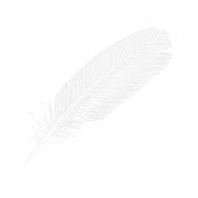 Load image into Gallery viewer, Derek Lam 10 Crosby Silent St. Eau De Parfum Musky and Floral Scent Spray Perfume for Women, 5.9 Fl Oz