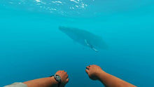 Load image into Gallery viewer, Stranded Deep