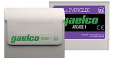 Load image into Gallery viewer, Blaze Evercade Gaelco Arcade Cartridge 1 - Nintendo DS