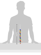 Load image into Gallery viewer, Cat Dancer Products Rainbow Cat Charmer