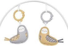 Load image into Gallery viewer, Fisher-Price 2-in-1 Deluxe Soothe 'n Play Glider