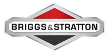 Load image into Gallery viewer, Briggs & Stratton 2-Cycle Easy Mix Motor Oil - 16 Oz. 100036