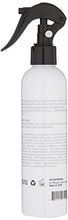 Load image into Gallery viewer, HSI PROFESSIONAL Argan Oil Heat Protector | Protect up to 450º F from Flat Irons & Hot Blow Dry | Sulfate Free, Prevents Damage & Breakage | Made in the USA | 8 Ounce, Packaging May Vary
