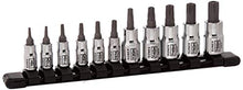 Load image into Gallery viewer, 11Pc 1/4" & 3/8" Dr Chrome Tamperproof Star Bit Socket Rail