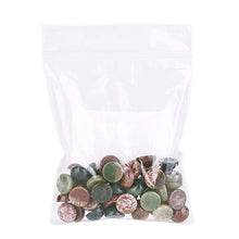 Load image into Gallery viewer, Kissitty 50Pcs Natural Indian Agate Flat Back Gemstone Cabochons 10mm Half Round/Dome Cab Chakra Energy Healing Power Stone for DIY Jewelry Making