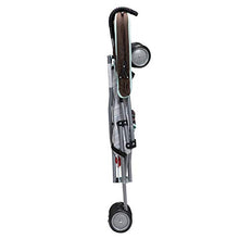 Load image into Gallery viewer, Disney Baby Winnie-the-Pooh Umbrella Stroller with Canopy (My Hunny Stripes)