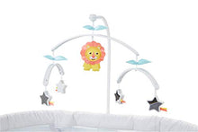 Load image into Gallery viewer, Fisher-Price Soothing Motions Bassinet, Windmill
