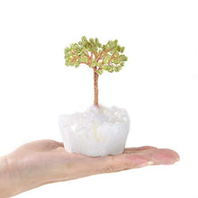 Load image into Gallery viewer, KALIFANO Natural Mini Peridot (100+ Gemstone Count!) Chakra Crystal Tree with Quartz Cluster Base - Bonsai Feng Shui Money Tree for Stress Relief and Inner Growth