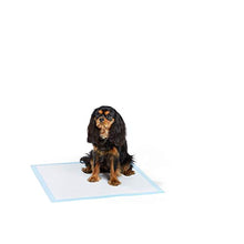 Load image into Gallery viewer, AmazonBasics Dog and Puppy Pee, Potty Training Pads, Regular (24 x 23 Inches) - Pack of 80