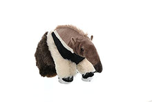 Load image into Gallery viewer, Wild Republic Anteater Plush, Stuffed Animal, Plush Toy, Gifts for Kids, Cuddlekins 12 Inches