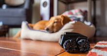 Load image into Gallery viewer, Moorebot Scout - Tiny AI-Powered Mobile Robot for Home Monitoring, Work with Alexa and Google Home, 1080P FHD, Human and Pets Recognition, Mecanum Wheels with FWD, Auto Patrol and Docking