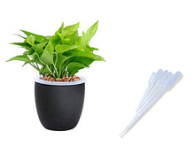 Load image into Gallery viewer, 100pcs 3ML Plastic Disposable Transfer Pipettes - Eye Dropper Set Transfer Graduated Pipettes Calibrated Dropper for Essential Oils & Science Laboratory