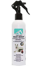 Load image into Gallery viewer, Forticept Maxi-Wash Antiseptic Antifungal Antibacterial Medicated Itch Relief Hot Spot Spray for Dogs & Cats|First Aid Skin and Paw Cleanser | Wounds Treatment 8 oz