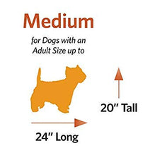 Load image into Gallery viewer, iCrate Dog Crate Starter Kit | 30-Inch Dog Crate Kit Ideal for Medium Dog Breeds (weighing 26 - 40 Pounds) || Includes Dog Crate, Pet Bed, 2 Dog Bowls & Dog Crate Cover