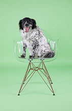 Load image into Gallery viewer, Flash Furniture Alonza Series Transparent Side Chair with Gold Base