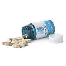 Load image into Gallery viewer, Neuriva Nootropic Brain Support Supplement - Plus Capsules (30 Count in a Box), Phosphatidylserine, B6, B12, Supports Focus Memory Concentration Learning Accuracy and Reasoning