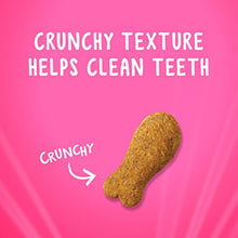 Load image into Gallery viewer, Purina Friskies Party Mix Cat Treats, Chicken & Waffle, 2.1 Ounce (Pack of 10)